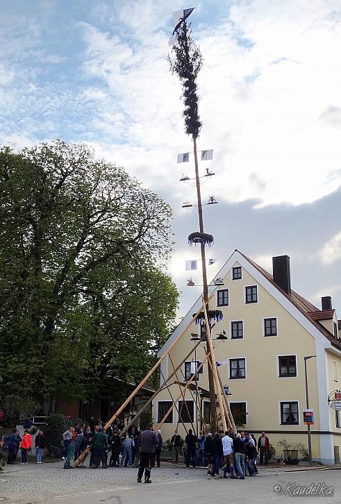 Maibaum-Aufstellen am 01.05.2022 01