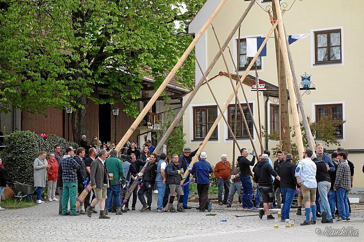 Maibaum-Aufstellen am 01.05.2022 03