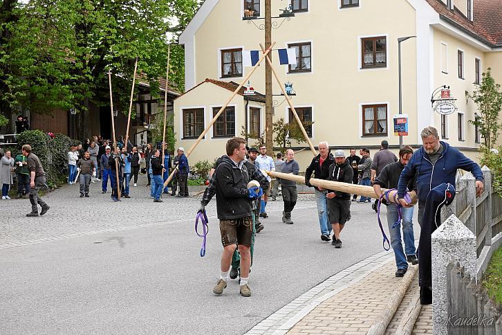 Maibaum-Aufstellen am 01.05.2022 04