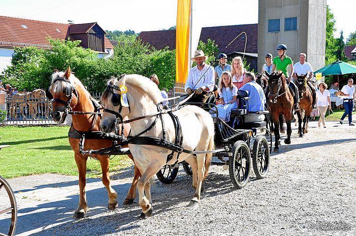 2016-07-10 ulrichsfest 2016 08