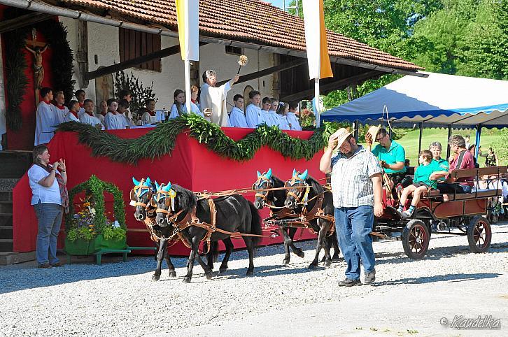 2016-07-10 ulrichsfest 2016 33