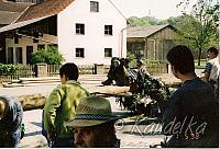 maibaum-aufstellen aus alten tagen 03