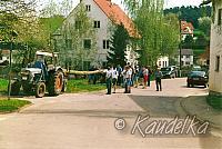 maibaum-aufstellen aus alten tagen 15