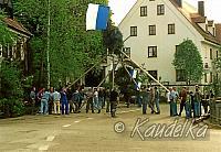 maibaum-aufstellen aus alten tagen 23c