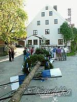 2005-05-01 maibaum aufstellen 002 01 05 2005 a