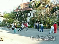 2005-05-01 maibaum aufstellen 008 01 05 2005 17 15 05