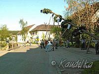 2005-05-01 maibaum aufstellen 012 01 05 2005 a