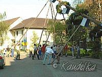 2005-05-01 maibaum aufstellen 013 01 05 2005 a