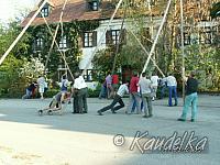 2005-05-01 maibaum aufstellen 019 01 05 2005 17 21 40