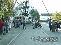 2005-05-01 maibaum aufstellen 023 01 05 2005