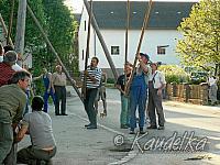 2005-05-01 maibaum aufstellen 035 01 05 2005 17 33 28 a