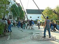 2005-05-01 maibaum aufstellen 037 01 05 2005 a