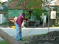 2005-05-01 maibaum aufstellen 042 01 05 2005 17 37 25 a