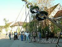 2005-05-01 maibaum aufstellen 044 01 05 2005 17 38 13 a