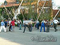 2005-05-01 maibaum aufstellen 049 01 05 2005 17 45 13 a