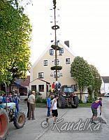 2007-05-01 maibaum aufstellen 01 05 2007 19 17 20 b