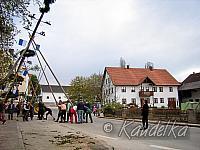 2008-04-30 maibaum-aufstellen 2008 30 04 2008 17 47 24 a