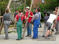 2009-05-01 maibaum-aufstellen 2009 01 05 2009 17 45 39 a