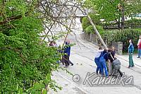 2011-05-01 maibaum-aufstellen 2011 01 05 2011 17 33 31 c