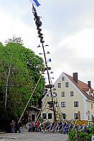 2011-05-01 maibaum-aufstellen 2011 01 05 2011 17 36 48 b