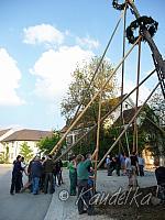 2014-04-17 maibaum-aufstellen 2014 17 04 2014 17 55 22 q