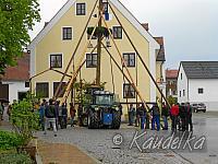 maibaum-aufstellen 2016 01 05 2016 03