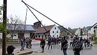 maibaum-aufstellen 2016 01 05 2016 10