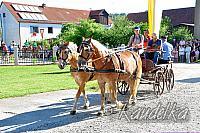 2016-07-10 ulrichsfest 2016 10