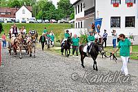 ulrichsfest am 09 07 2017 18