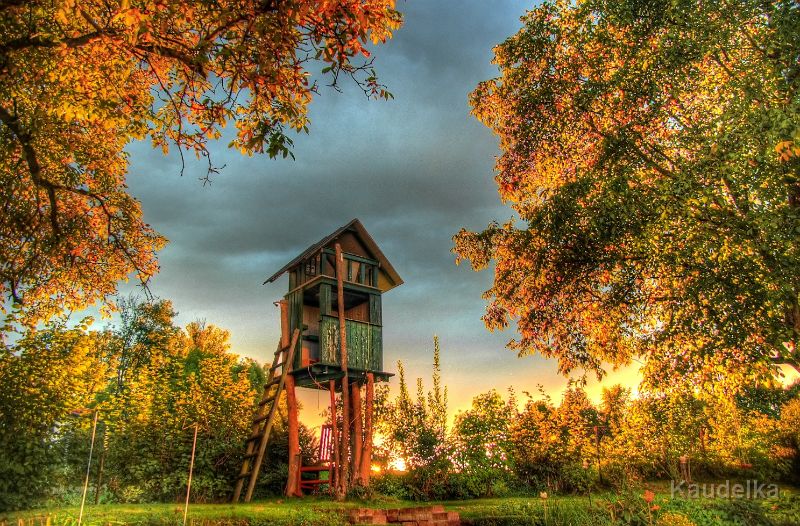 herbstgold_-_baumhaus_im_sonnenuntergang.jpg - Herbstgold - Baumhaus im Sonnenuntergang