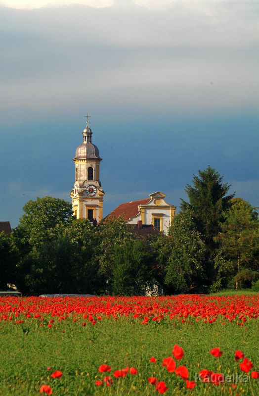 mohnblumen_und_kirche_c.jpg - Mohnblumen und Kirche