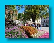 Gartenbauverein 2-Tagesfahrt Schloss Trauttmannsdorf bei Meran gartenbauverein_2-tagesfahrt_schloss_trauttmannsdorf_bei_meran_018