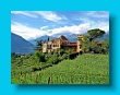 Gartenbauverein 2-Tagesfahrt Schloss Trauttmannsdorf bei Meran gartenbauverein_2-tagesfahrt_schloss_trauttmannsdorf_bei_meran_037