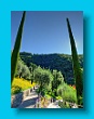 Gartenbauverein 2-Tagesfahrt Schloss Trauttmannsdorf bei Meran gartenbauverein_2-tagesfahrt_schloss_trauttmannsdorf_bei_meran_058