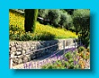 Gartenbauverein 2-Tagesfahrt Schloss Trauttmannsdorf bei Meran gartenbauverein_2-tagesfahrt_schloss_trauttmannsdorf_bei_meran_059
