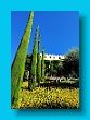 Gartenbauverein 2-Tagesfahrt Schloss Trauttmannsdorf bei Meran gartenbauverein_2-tagesfahrt_schloss_trauttmannsdorf_bei_meran_061