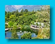 Gartenbauverein 2-Tagesfahrt Schloss Trauttmannsdorf bei Meran gartenbauverein_2-tagesfahrt_schloss_trauttmannsdorf_bei_meran_080