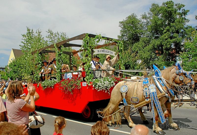 historischer_festzug_wolnzach_2010_01.jpg - Historischer Festzug Wolnzach 2010