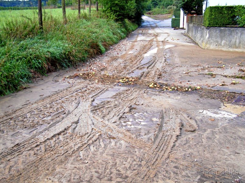 ueberschwemmung_07.08.2008_28.jpg - Überschwemmung 08-2008