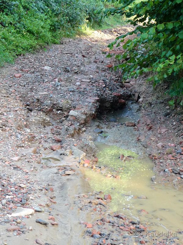 2.ueberschwemmung_in_2_wochen_21.08.2012_30.jpg - 2. Ãberschwemmung innerhalb von 2 Wochen in 2012