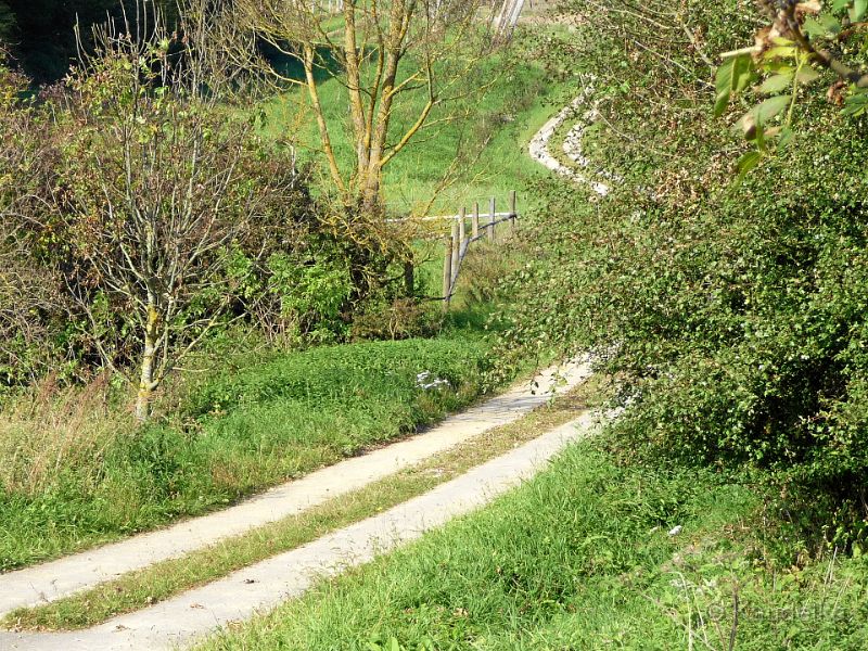 besichtigungsfahrt_obermettenbach_ilmendorf_13.10.2010_03.jpg - Besichtigungsfahrt am 13.10.2010 nach Obermettenbach, Engelbrechtsmünster, Schillwitzried, Ilmendorf