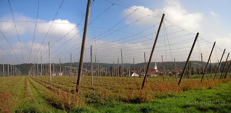 blick-auf-oberlauterbach_panorama.jpg - Blick auf Oberlauterbach