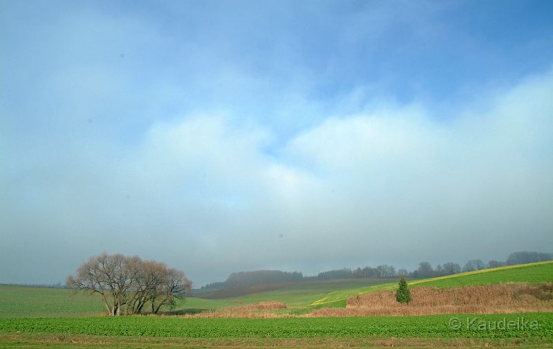 oberlauterbachs_weite_flur.jpg - Oberlauterbachs weite Flur