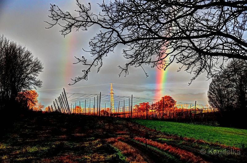 regenbogen_in_der_morgendaemmerung.jpg - Regenbogen in der MorgendÃ€mmerung