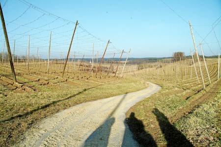 Blick zurck ber den geteerten Weg